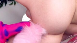 Belle Delphine Toy Collection Nude Dildo Leaked Video